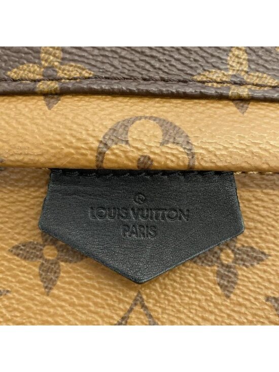 Louis Vuitton Monogram Reverse Palm Spring Backpack PM Brown Marron main image 4